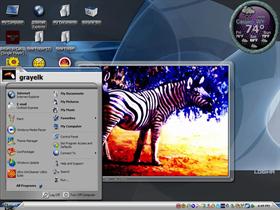 zebra with color