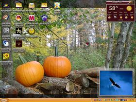 pumkin time