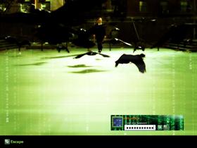 Matrixial Crows