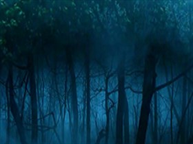 Mystic Forest