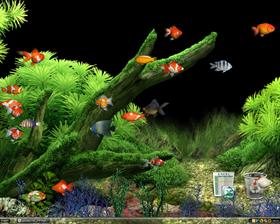 DreamTank
