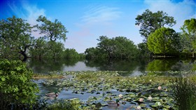 Lily Pond LV