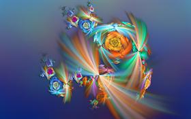 RosesRadial