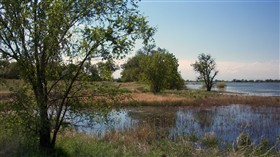 Barr Lake Scenic