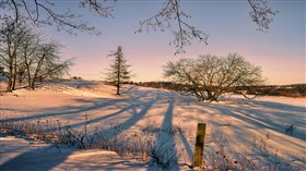 Evening Shadows