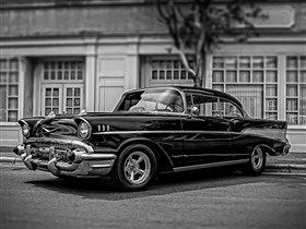 Black and White Perfection