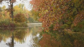 Autumn Leaves Over the Lake