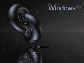 Sea Torus