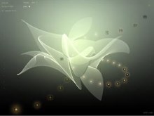 A N G E L DX 1280x960