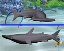 HammerheadDX