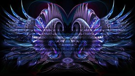 WingZ 6