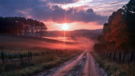 Lonely Sunset