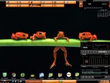 Frog Froggy Frog