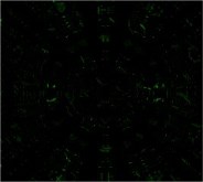 The Matrix Tunnel