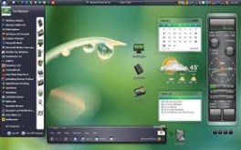 Vista Dew