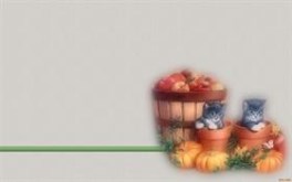 Autumn's Arrival