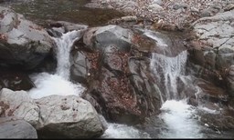 rock&water