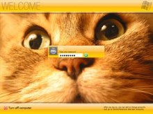 Vista Yellow