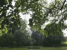 Green Pond