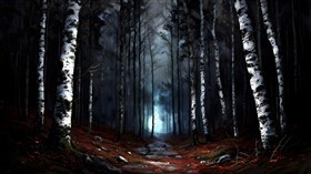 misty forest
