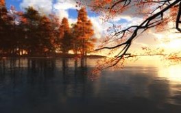 Dreamy Summer Morning