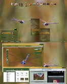 Double Dragon Desktop