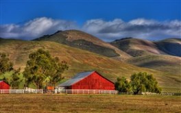 Back Road Travels