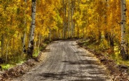Kolob Fall II