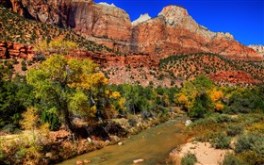 Zion Fall 2013