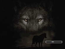 From the Dark III