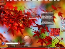 Maple