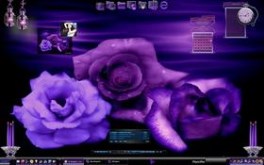 Purple Roses