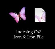 Indesing Cs2