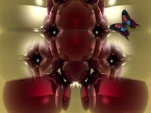 Rosita~N~Butterfly