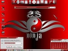Ninja