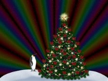 Penguin Christmas