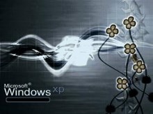 XP 40