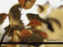 Windows Vista Color of Change