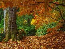 Autumn Colors v1.0