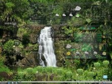 Another Water Fall