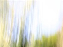 Streaking Trees