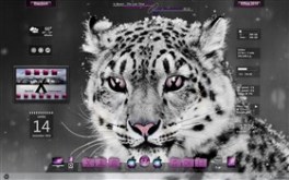 Snow Leopard 2