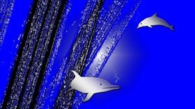 dolphins
