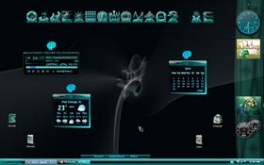 Topango Windows