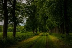 paysage