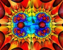 Hippy