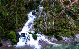 Milky Waterfall
