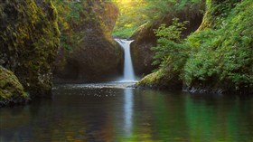Punch Bowl