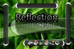 Reflection 