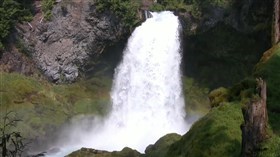 Forest_Waterspout